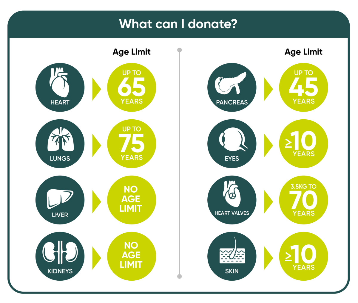 JD1570 NZBS ODNZ Age Criteria Graphic  patient